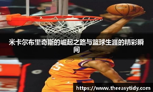 易游体育