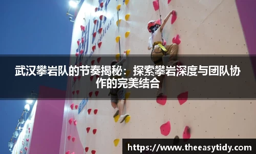 武汉攀岩队的节奏揭秘：探索攀岩深度与团队协作的完美结合